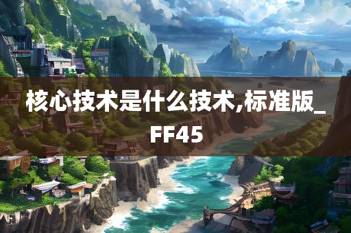 核心技术是什么技术,标准版_FF45