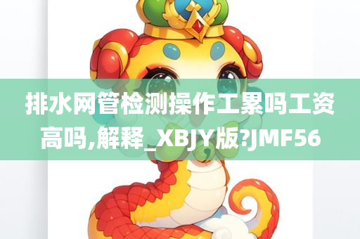 排水网管检测操作工累吗工资高吗,解释_XBJY版?JMF56