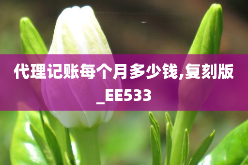 代理记账每个月多少钱,复刻版_EE533