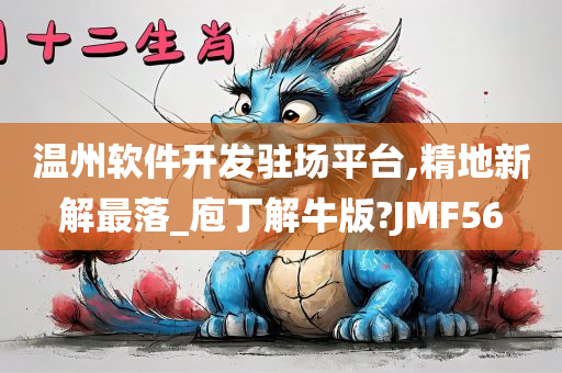 温州软件开发驻场平台,精地新解最落_庖丁解牛版?JMF56