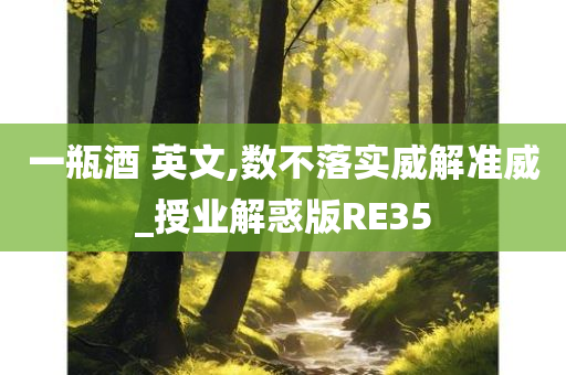 一瓶酒 英文,数不落实威解准威_授业解惑版RE35