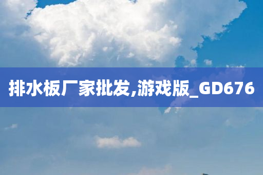 排水板厂家批发,游戏版_GD676