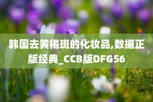 韩国去黄褐斑的化妆品,数据正版经典_CCB版DFG56