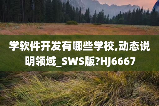 学软件开发有哪些学校,动态说明领域_SWS版?HJ6667