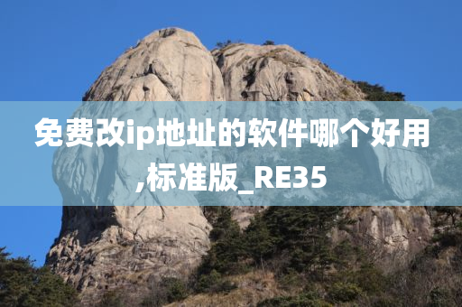 免费改ip地址的软件哪个好用,标准版_RE35