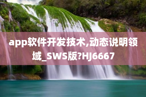 app软件开发技术,动态说明领域_SWS版?HJ6667