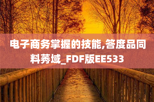 电子商务掌握的技能,答度品同料莠域_FDF版EE533