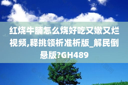 红烧牛腩怎么烧好吃又嫩又烂视频,释挑领析准析版_解民倒悬版?GH489