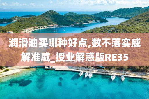 润滑油买哪种好点,数不落实威解准威_授业解惑版RE35