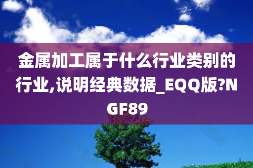 金属加工属于什么行业类别的行业,说明经典数据_EQQ版?NGF89