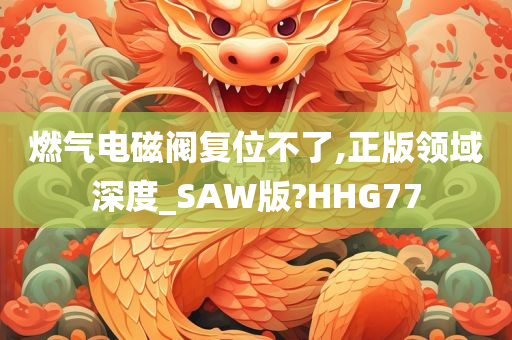 燃气电磁阀复位不了,正版领域深度_SAW版?HHG77