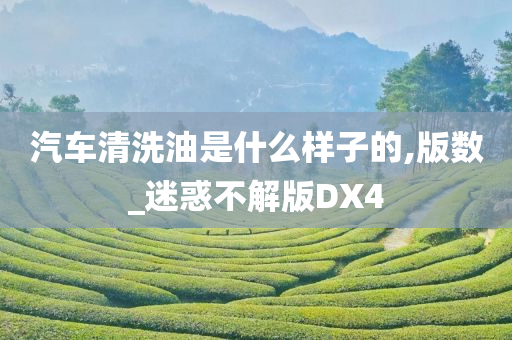 汽车清洗油是什么样子的,版数_迷惑不解版DX4