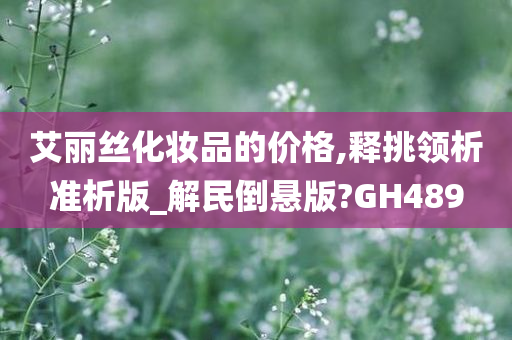 艾丽丝化妆品的价格,释挑领析准析版_解民倒悬版?GH489