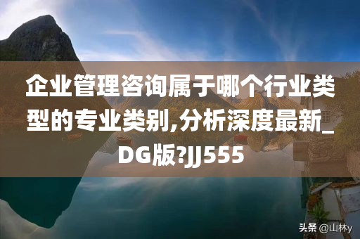 企业管理咨询属于哪个行业类型的专业类别,分析深度最新_DG版?JJ555