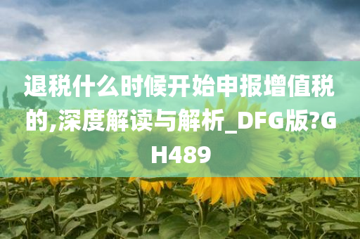 退税什么时候开始申报增值税的,深度解读与解析_DFG版?GH489