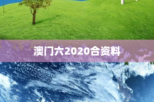 澳门六2020合资料