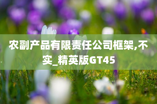 农副产品有限责任公司框架,不实_精英版GT45