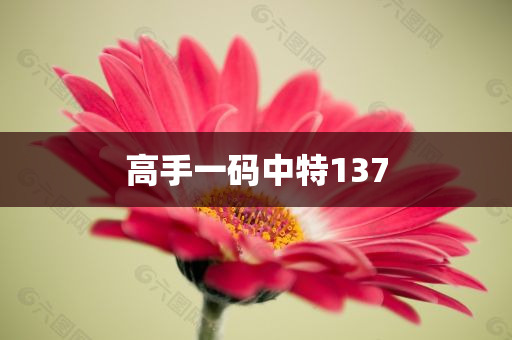 高手一码中特137