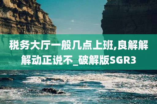 税务大厅一般几点上班,良解解解动正说不_破解版SGR3