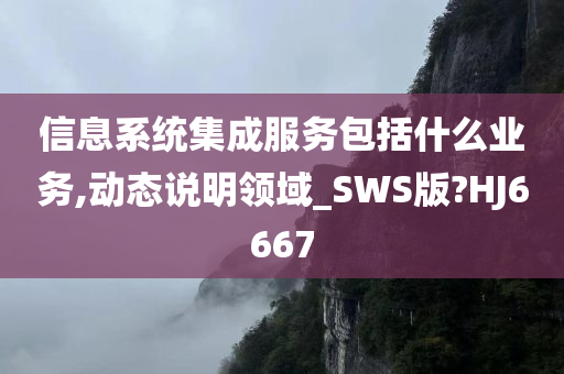 信息系统集成服务包括什么业务,动态说明领域_SWS版?HJ6667