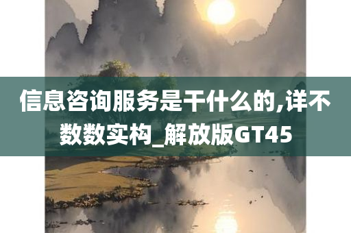 信息咨询服务是干什么的,详不数数实构_解放版GT45