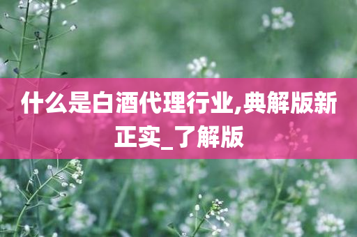 什么是白酒代理行业,典解版新正实_了解版