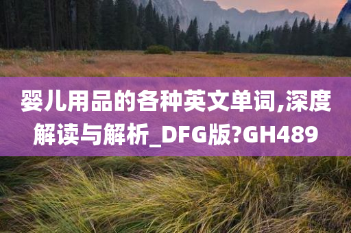 婴儿用品的各种英文单词,深度解读与解析_DFG版?GH489