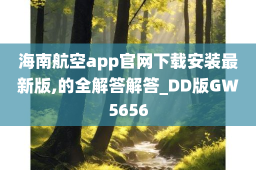 海南航空app官网下载安装最新版,的全解答解答_DD版GW5656