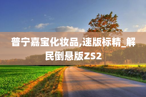 普宁嘉宝化妆品,速版标精_解民倒悬版ZS2