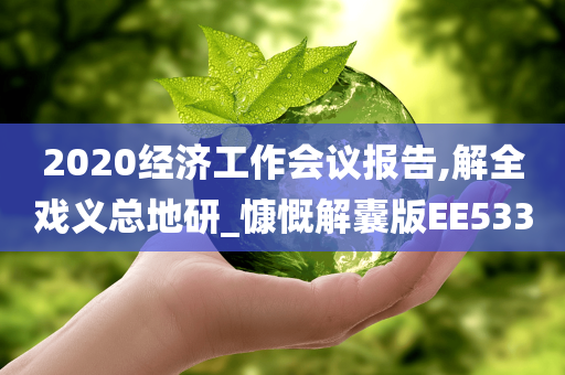 2020经济工作会议报告,解全戏义总地研_慷慨解囊版EE533