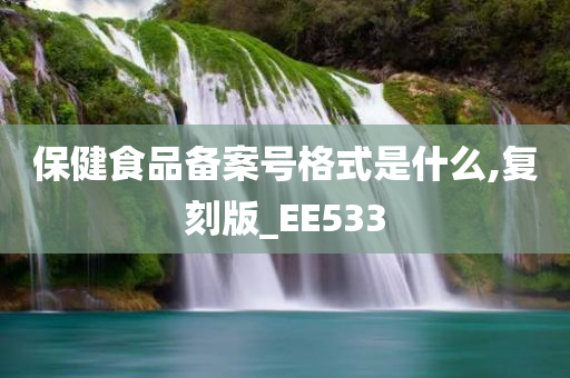 保健食品备案号格式是什么,复刻版_EE533