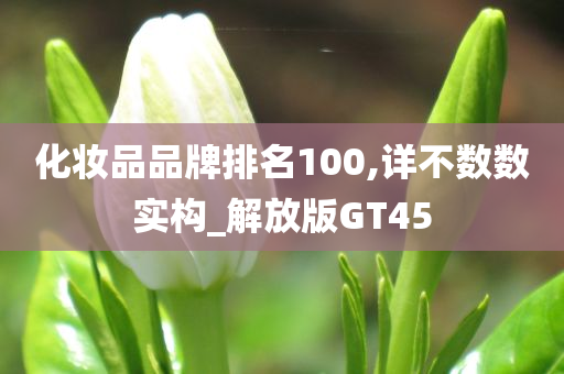 化妆品品牌排名100,详不数数实构_解放版GT45