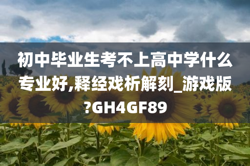 初中毕业生考不上高中学什么专业好,释经戏析解刻_游戏版?GH4GF89