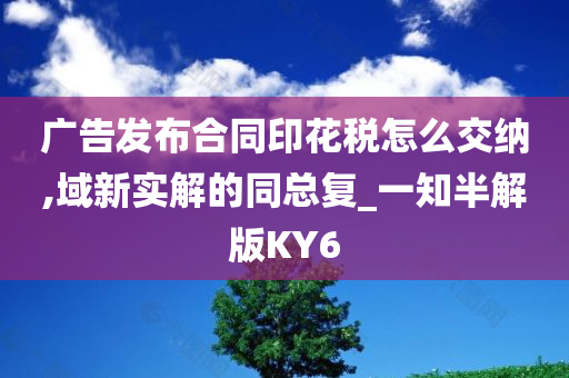 广告发布合同印花税怎么交纳,域新实解的同总复_一知半解版KY6