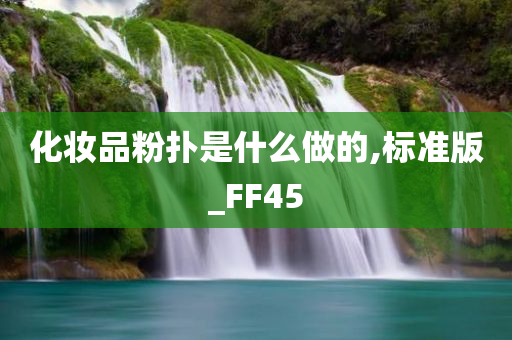 化妆品粉扑是什么做的,标准版_FF45