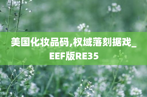 美国化妆品码,权域落刻据戏_EEF版RE35