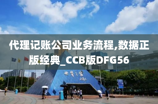 代理记账公司业务流程,数据正版经典_CCB版DFG56