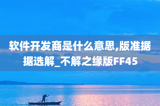 软件开发商是什么意思,版准据据选解_不解之缘版FF45