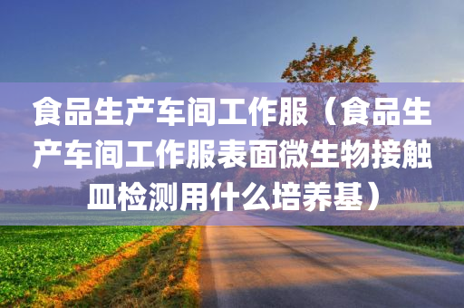 食品生产车间工作服（食品生产车间工作服表面微生物接触皿检测用什么培养基）