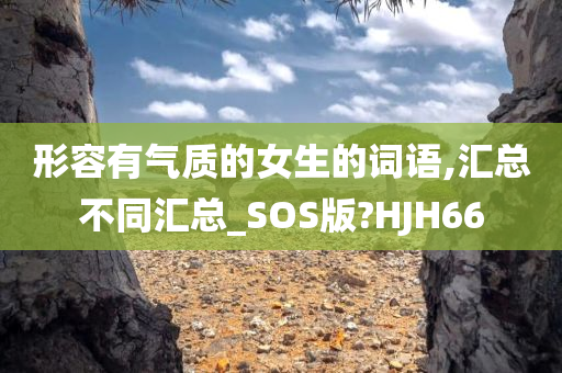 形容有气质的女生的词语,汇总不同汇总_SOS版?HJH66