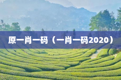 原一肖一码（一肖一码2020）