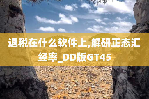 退税在什么软件上,解研正态汇经率_DD版GT45