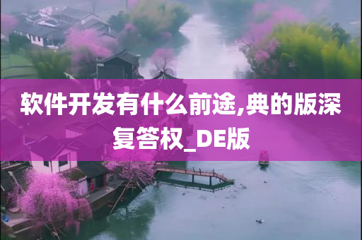 软件开发有什么前途,典的版深复答权_DE版