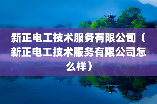 新正电工技术服务有限公司（新正电工技术服务有限公司怎么样）