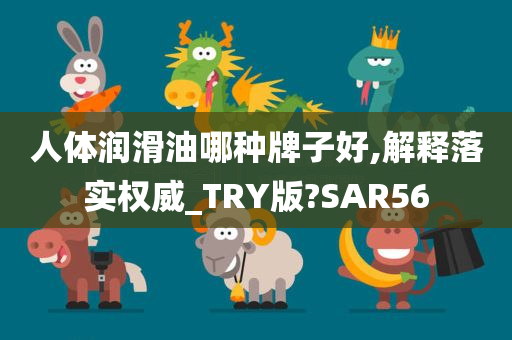 人体润滑油哪种牌子好,解释落实权威_TRY版?SAR56