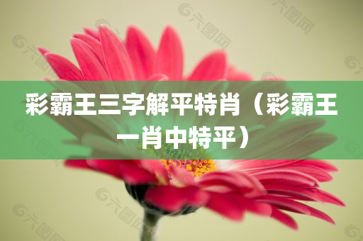 彩霸王三字解平特肖（彩霸王一肖中特平）