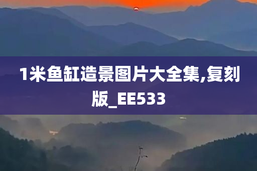 1米鱼缸造景图片大全集,复刻版_EE533