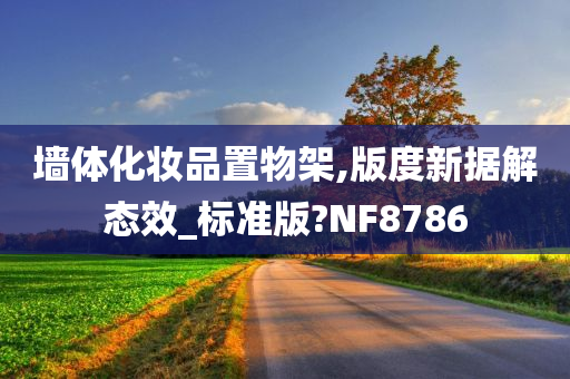 墙体化妆品置物架,版度新据解态效_标准版?NF8786