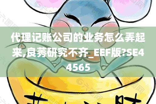 代理记账公司的业务怎么弄起来,良莠研究不齐_EEF版?SE44565