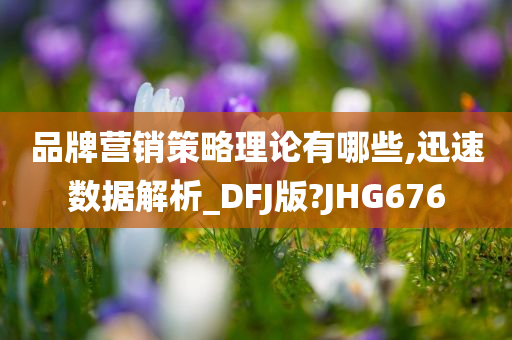 品牌营销策略理论有哪些,迅速数据解析_DFJ版?JHG676